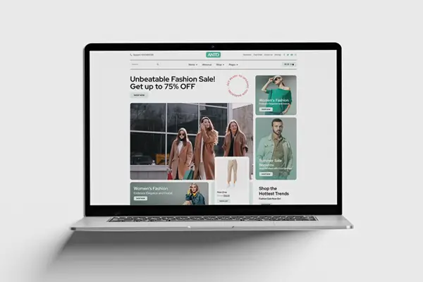 Ecommerce Websites